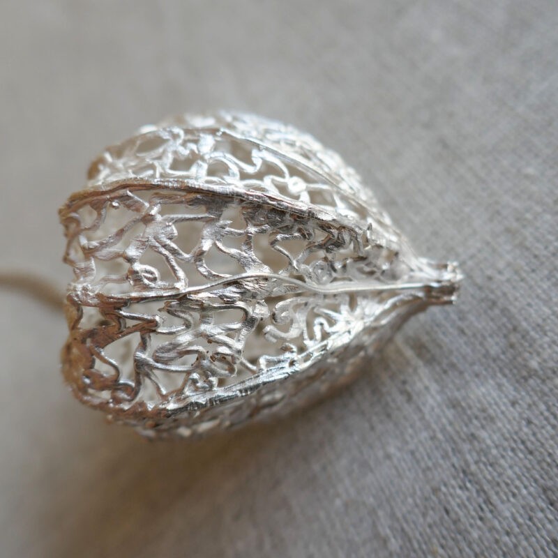 photo-of-physalis-pendant