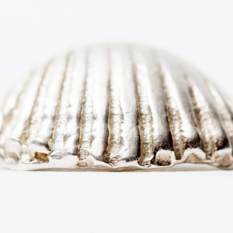 photo-of-shell-pendant
