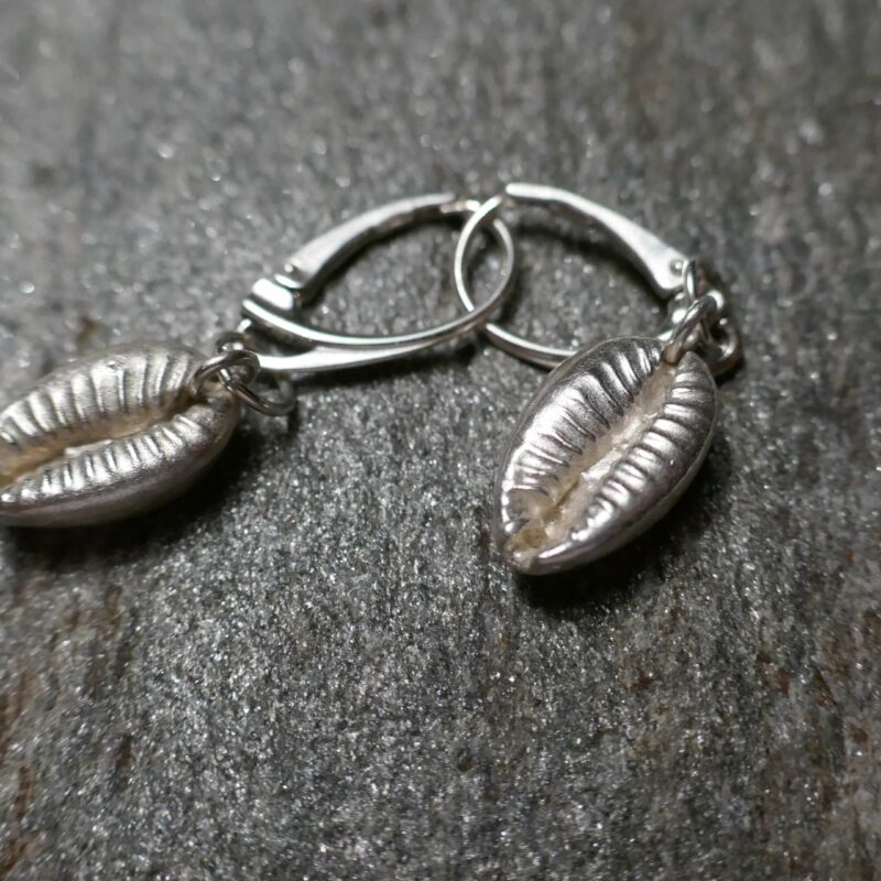 photo-of-earrings-shells